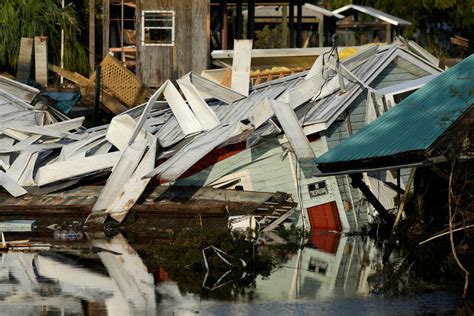 Man struck by tree while cleaning hurricane debris is third Florida death from Hurricane Idalia